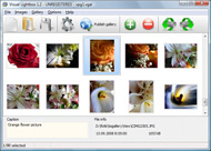add picture album to website Html Popup In New Window