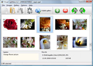 blue style windows Html Image Viewer Popup