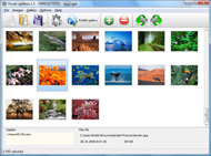 javascript gallery windows Html Popup Div Javascript