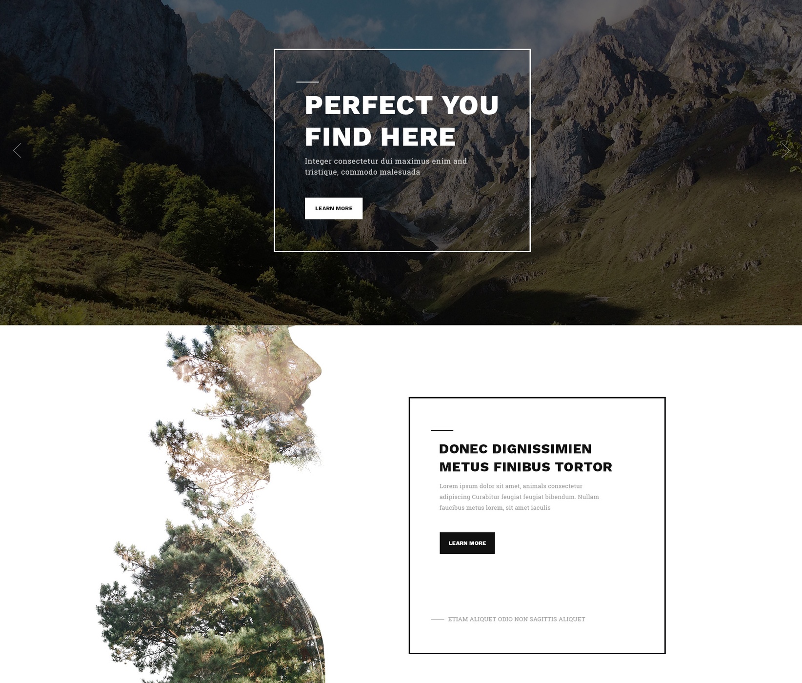 Free Bootstrap One Page Theme